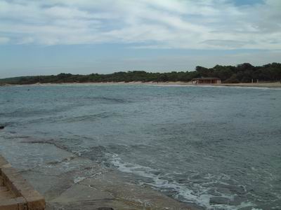 DSCF0097.JPG